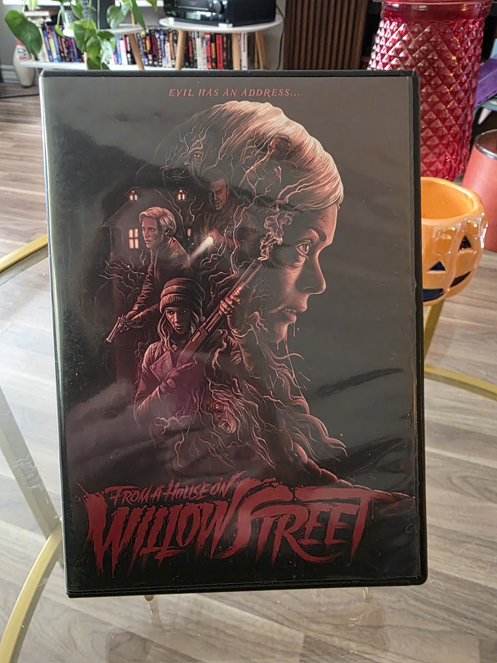 From a House on Willow Street - DVD